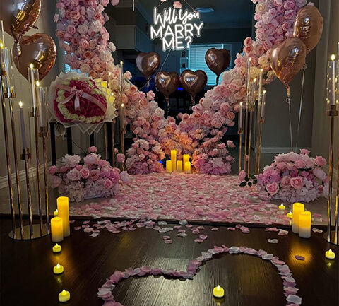 proposal desiner indiana